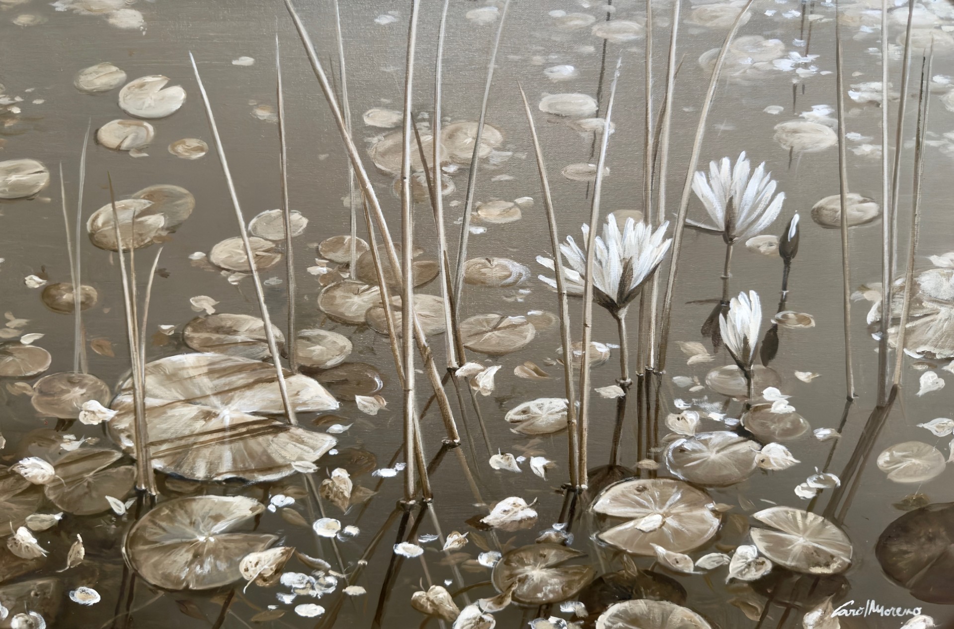 BW Waterlillies 2 by Carol Moreno