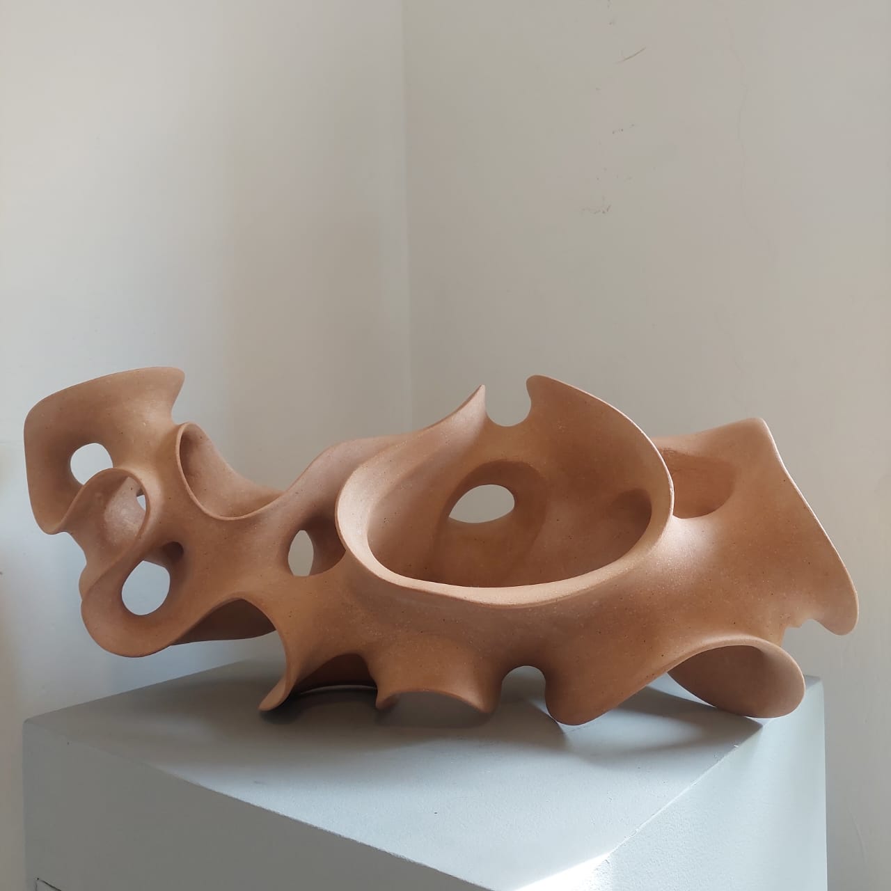 Biomorfis 62 by Alejandro Frieri