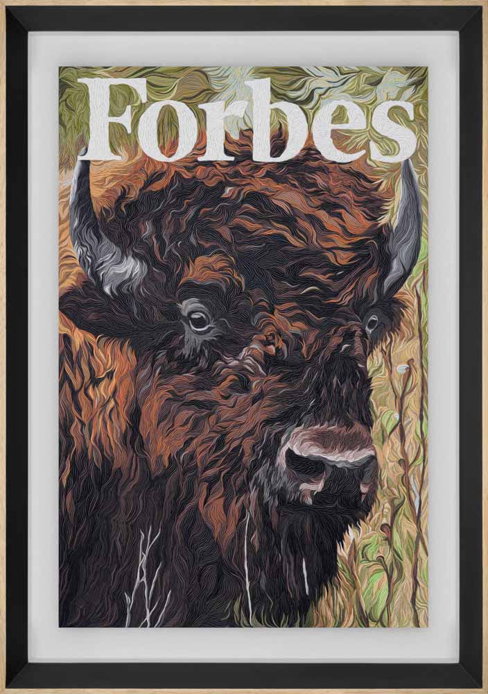 The Last Great Bison